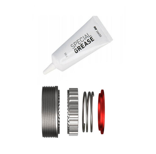 DT SWISS RATCHET 54T EXP KIT