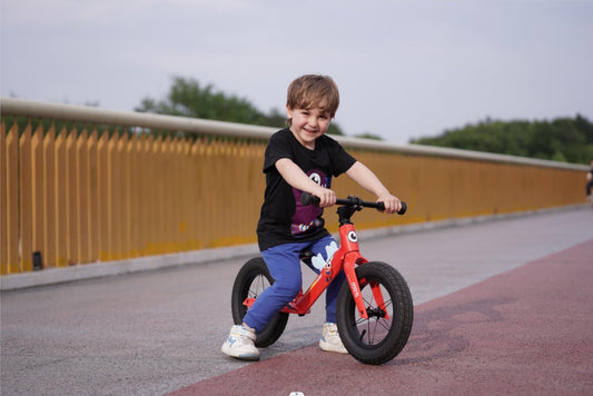 PAONA PUSH BIKE 12" MAGNESIUM