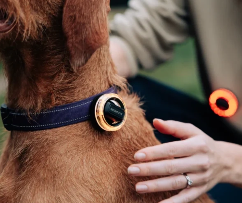 SCOUTLITE BLINKO - WEARABLE SAFETY LIGHT