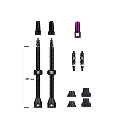 DYNAMIC BARKEEPER TUBELESS VALVE KIT